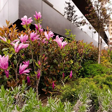 Quibio Altitude Apartment *