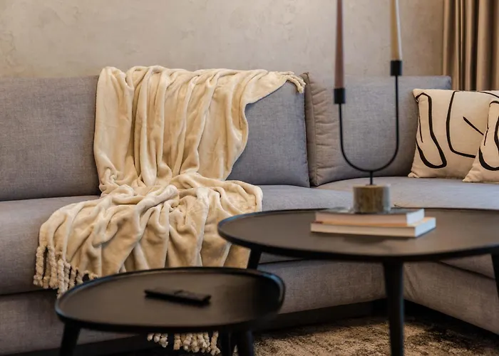 公寓 Quibio Altitude 布拉索夫