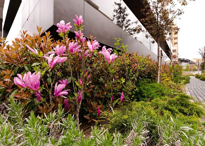 Quibio Altitude 公寓 *